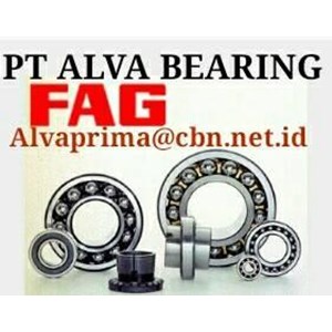 Bearing FAG PT ALVA PRIMA TOKO GLODOK 