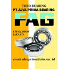 FAG Cylindrical roller bearing PT ALVA PRIMA FAG ROLLING BEARINGS FAG  UNITS & HOUSING LTC GLODOG 1
