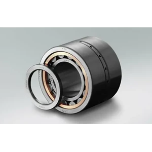 Roller bearing