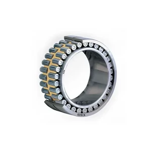 Roller bearing